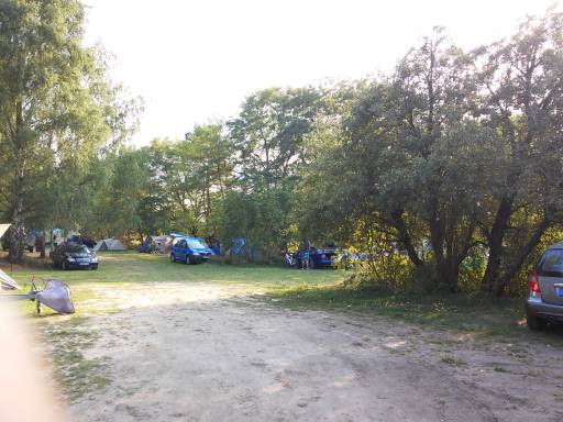 Eine der Zeltwiesen auf dem Spreewald-Natur-Camping "Am See"