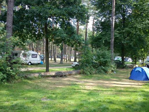 Ein Teil der vielen Zeltstellplätze des Campingplatz Am Dreetzsee in Thomsdorf