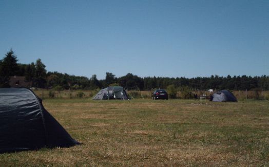 Die Zeltstellplätze des Campingplatzes am Lieptnitzsee