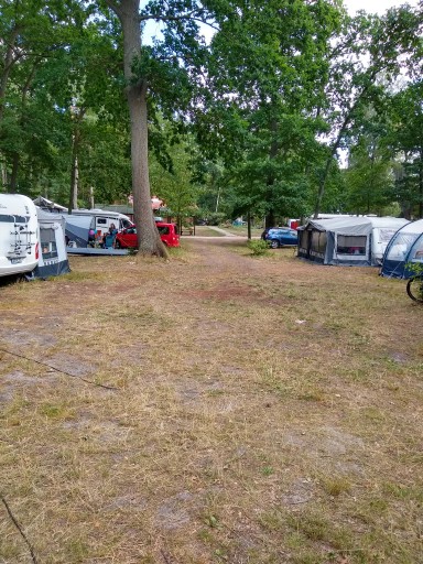 Ein Teil der Stellplätze des Campingplatz "C15 Bolter Ufer"