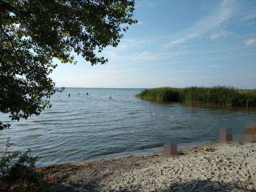 Der Strand des Campingplatz "C15 Bolter Ufer"