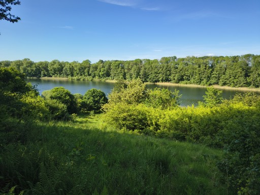 Der Behlendorfer See