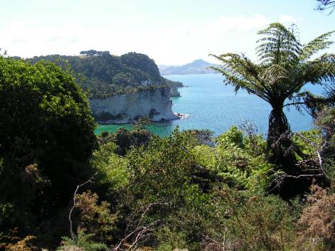 Blick über die Küstenlandschaft auf Coromandel