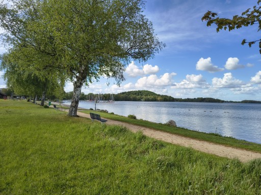 Der Strandbereich des Campingplatz Seeblick Dersau