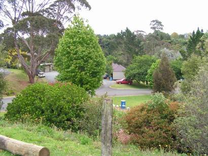 Blick über den unteren Teil des Top10-Zepla in Kerikeri