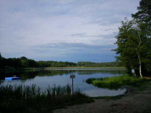 Der Strand des Campingplatz Rathenow am Steckelsdorfer See