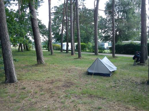 Ein Teil der Zeltstellplätze des Campingplatz "Schwaan"