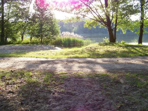 Zeltstellplätze direkt am Wasser des Naturcampingplatz Springsee in Limsdorf