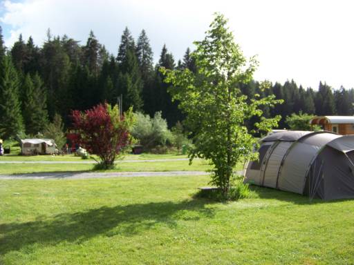Die Zeltwiese des Camping Trin